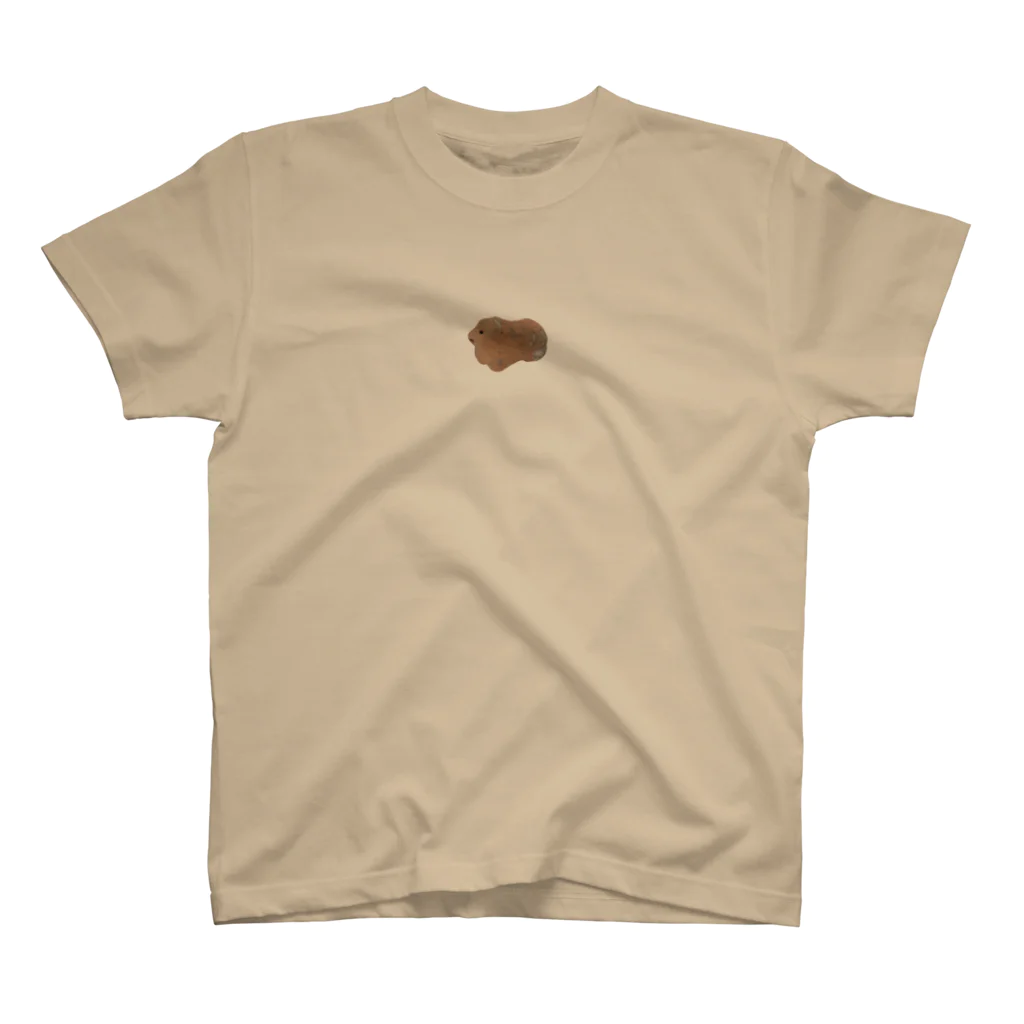 kukukiki__のDOKIDOKI土器(いぬ) Regular Fit T-Shirt