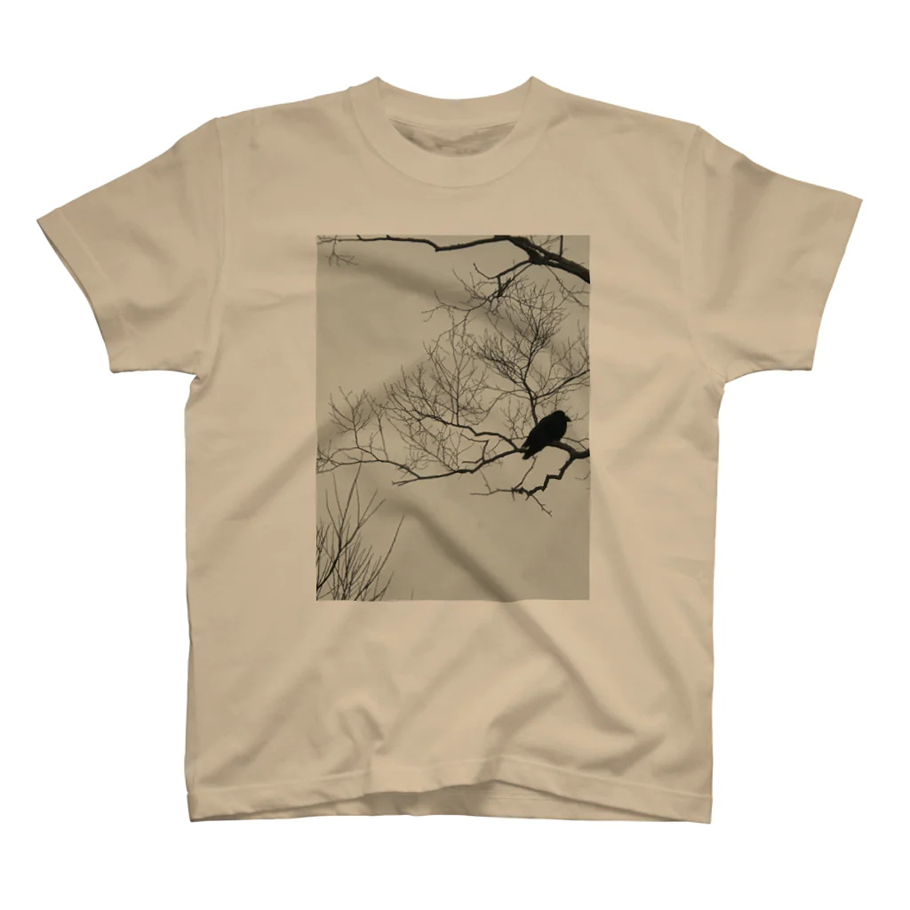 空屋　sorayakusakaの202012300958002　寒烏 Regular Fit T-Shirt