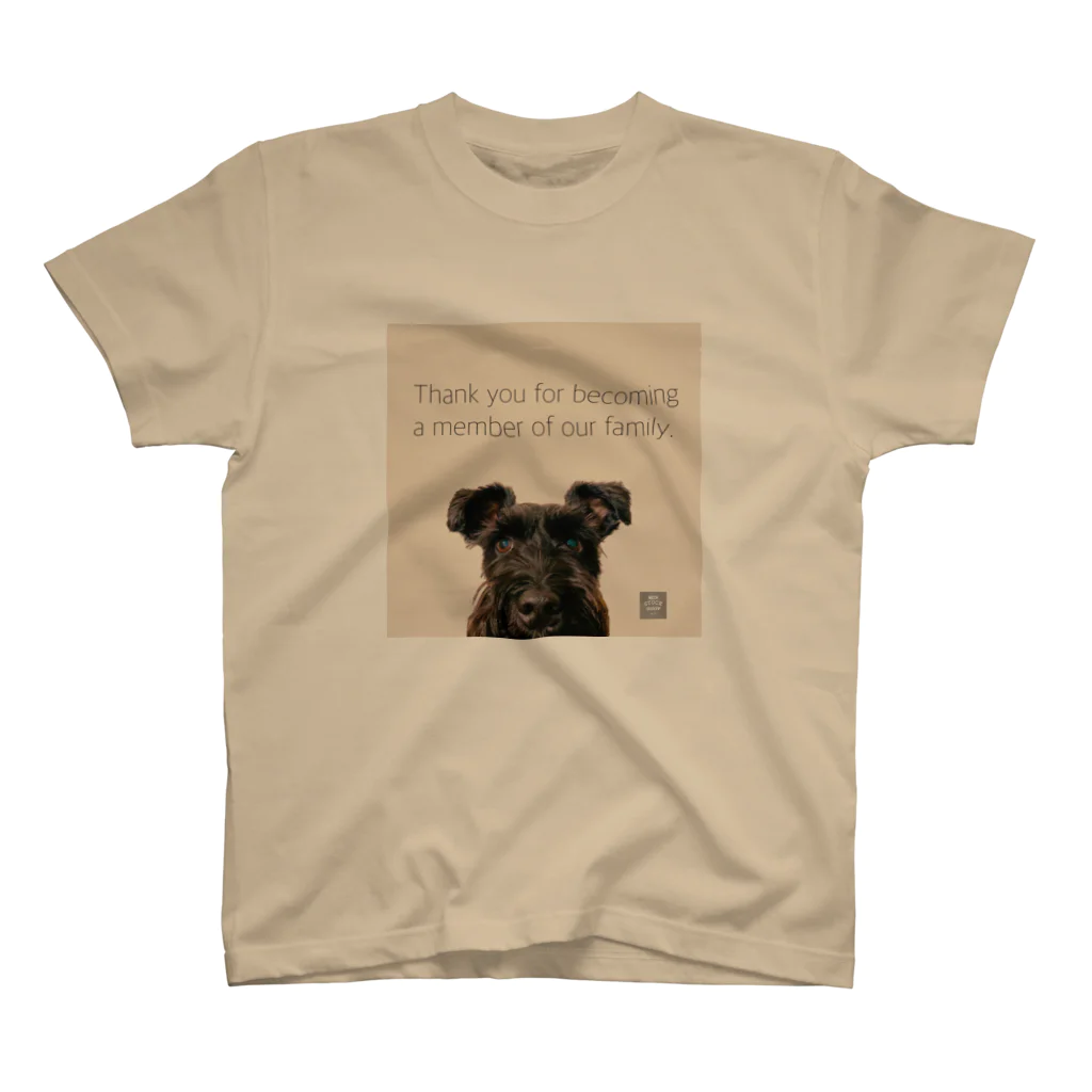 KURO のドアップKURO シュナウザー 黒シュナ 黒い犬 スタンダードTシャツ