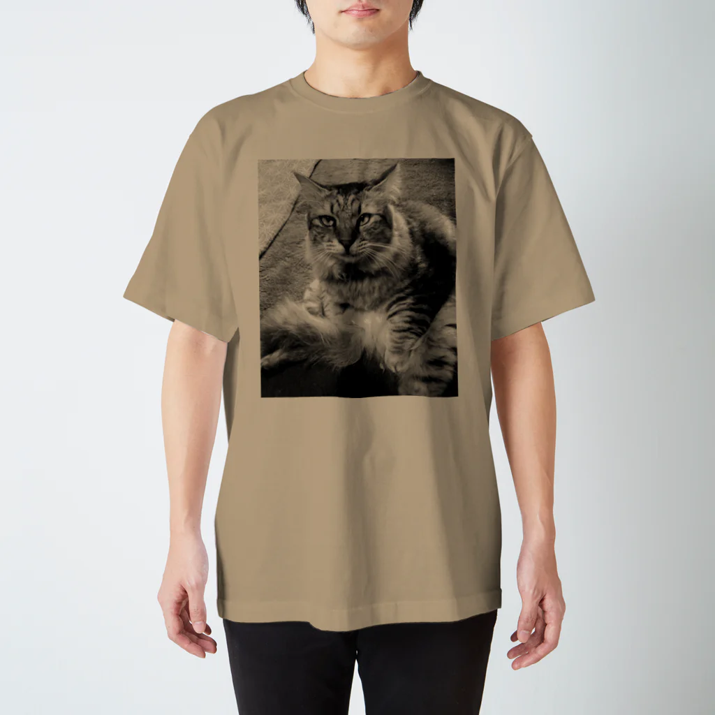 とらち友の会の変な座り方をするねこ スタンダードTシャツ