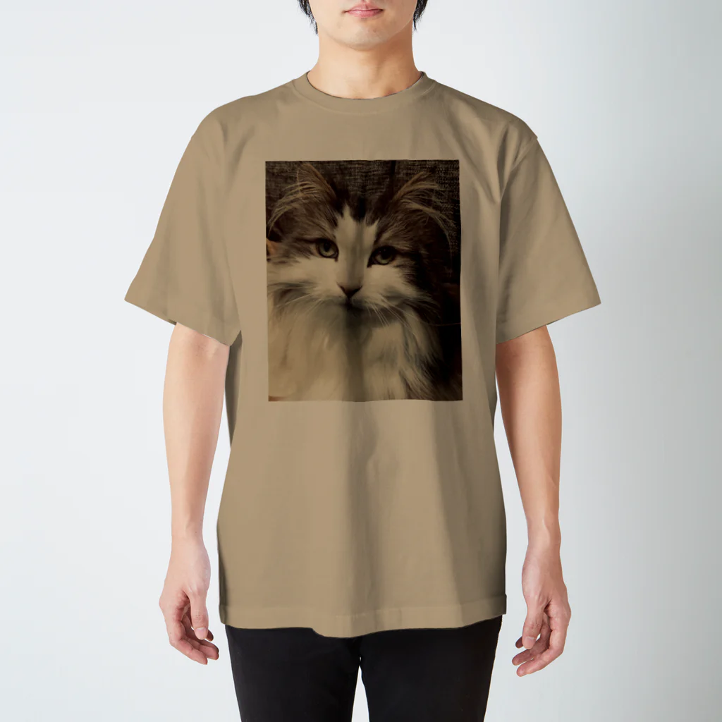 Toi toi toi!のもふ猫Ｔシャツ スタンダードTシャツ