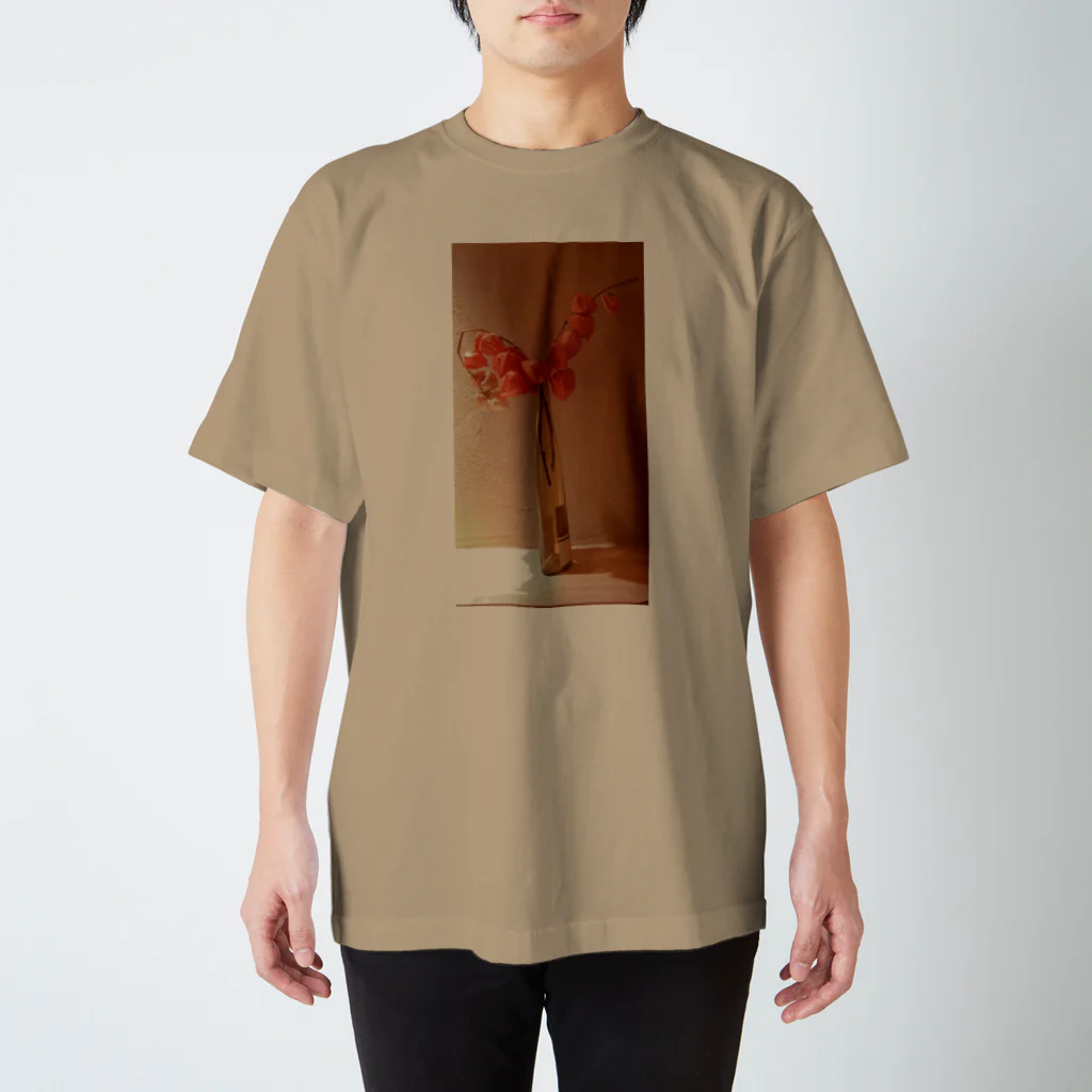 oishii_gohanの暖かみオレンジ スタンダードTシャツ