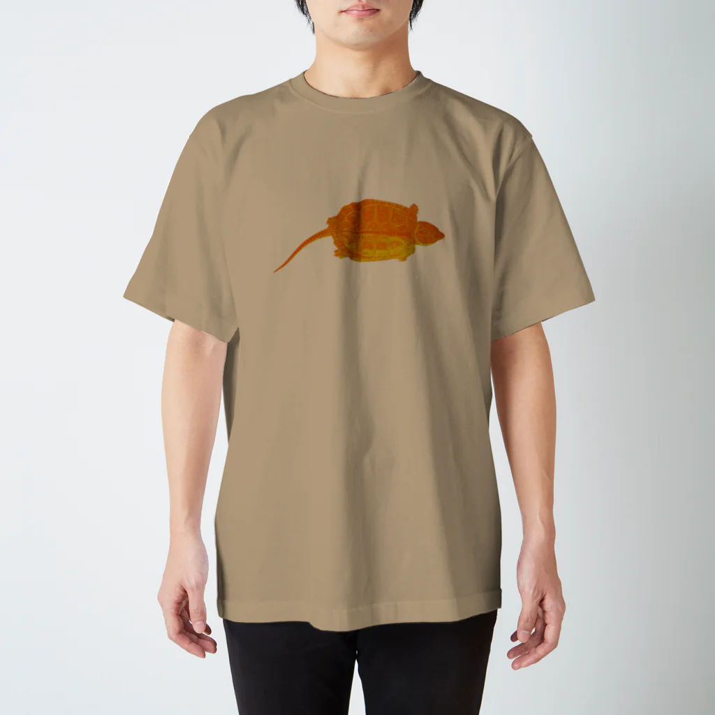 アンフィ合同会社のオオアタマガメ スタンダードTシャツ