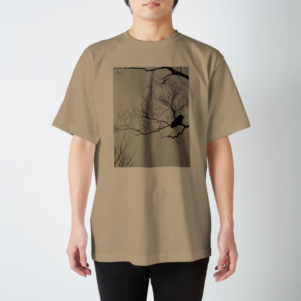 空屋　sorayakusakaの202012300958002　寒烏 スタンダードTシャツ