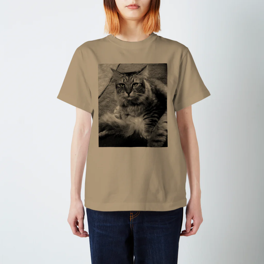 とらち友の会の変な座り方をするねこ スタンダードTシャツ