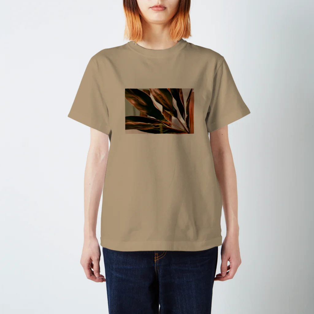 moriyamaのgreen Regular Fit T-Shirt