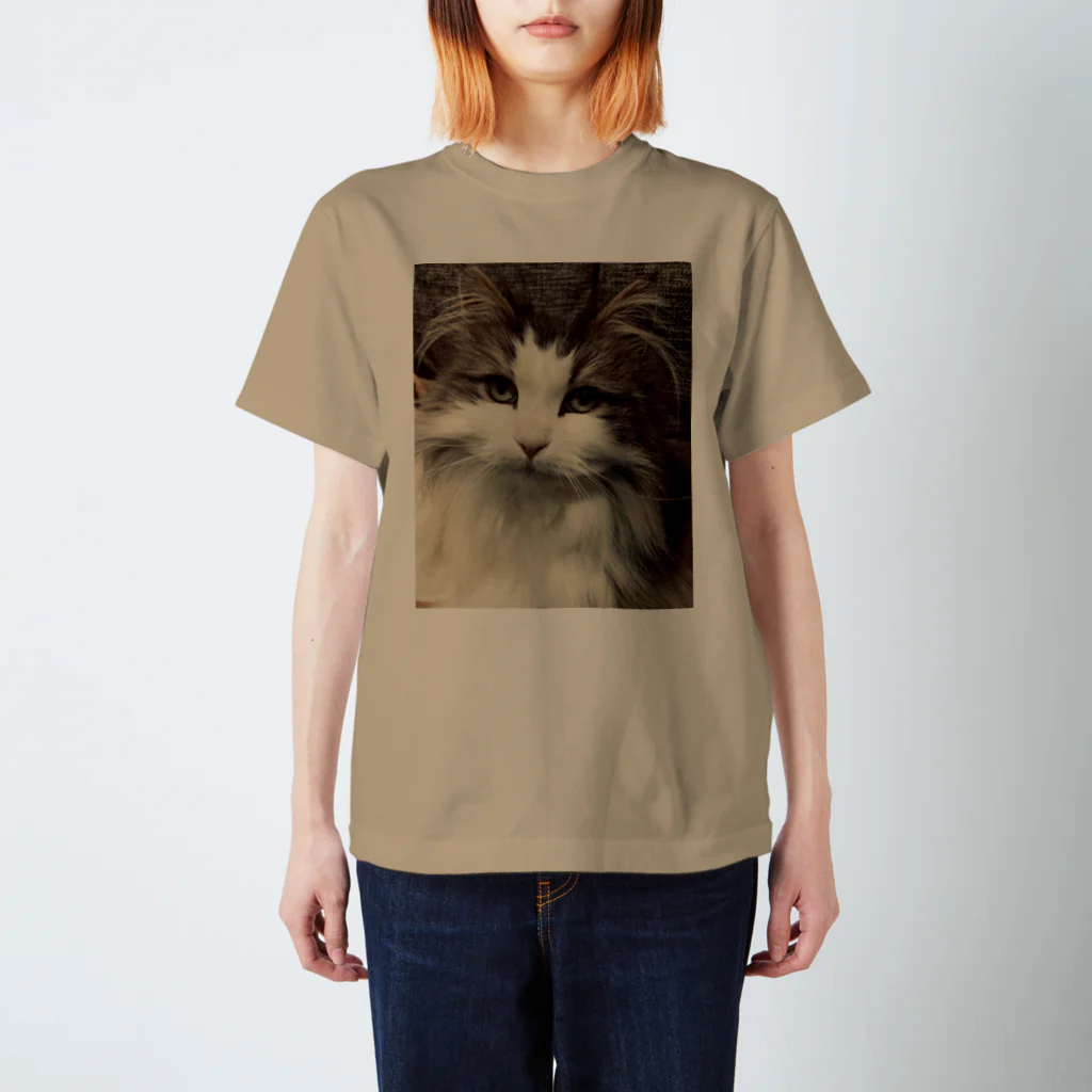 Toi toi toi!のもふ猫Ｔシャツ スタンダードTシャツ