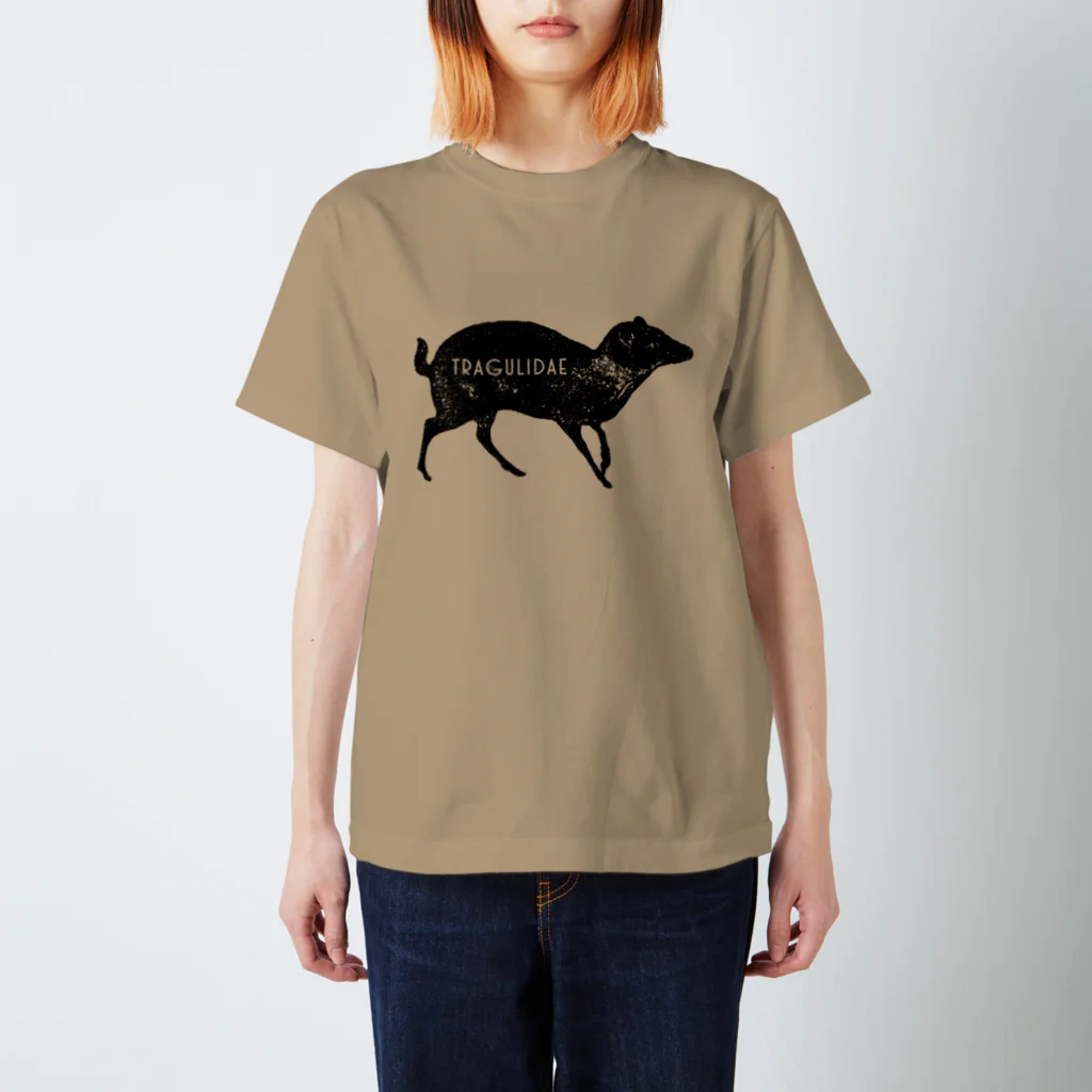 非ユークリッド幾何学を考える kodaisakanaのtragulidae Regular Fit T-Shirt