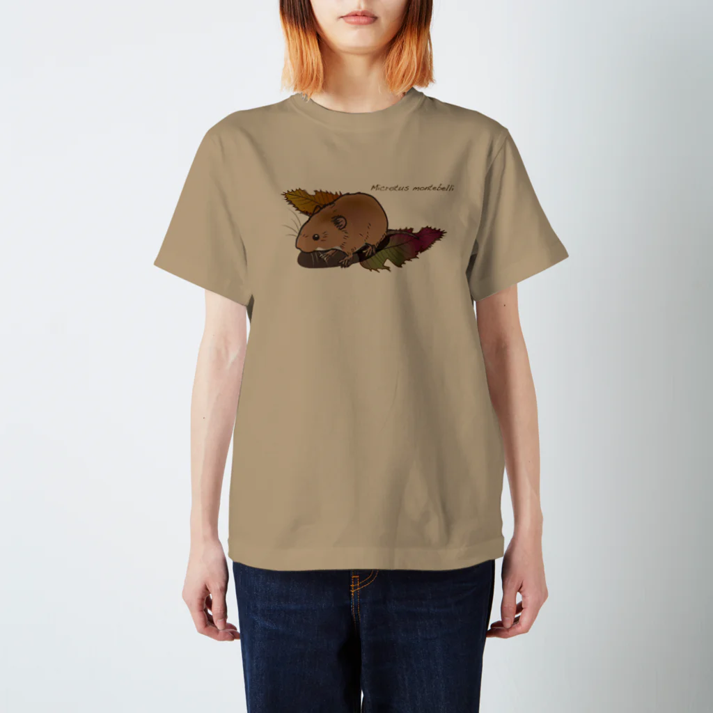 Mika ＠hammytouchの《前面プリント_70》Tシャツ_vole（ハタネズミ） Regular Fit T-Shirt