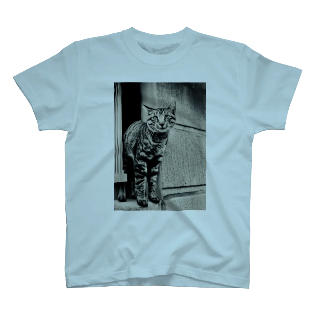 Cathouse Corp.のCathouse 8tee スタンダードTシャツ