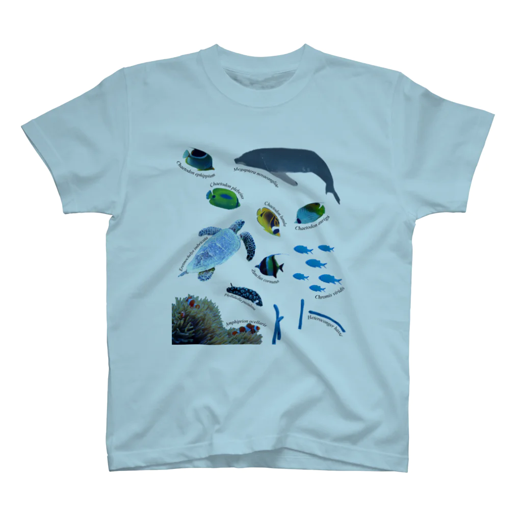 L_arctoaの沖縄の海の生き物 スタンダードTシャツ