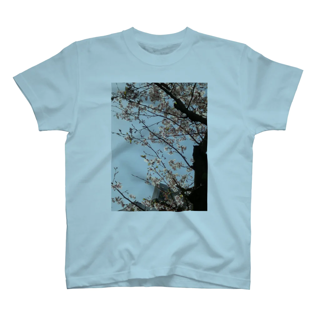 🦈望月🦁まなみん♠️🍎の中庭桜 スタンダードTシャツ