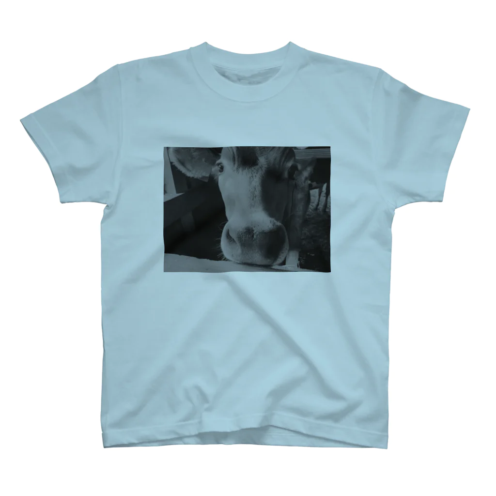 spinのlimited　cow Collection Regular Fit T-Shirt