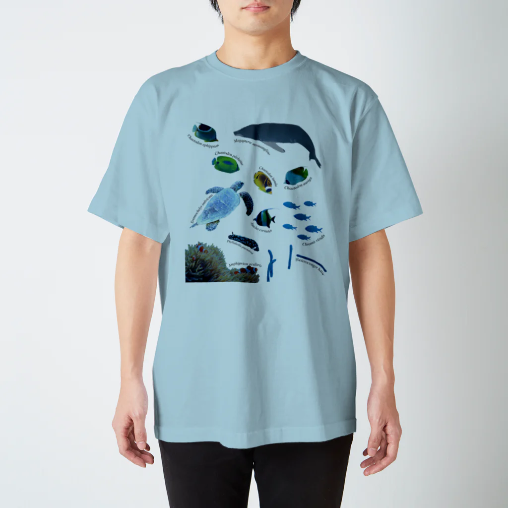 L_arctoaの沖縄の海の生き物 スタンダードTシャツ