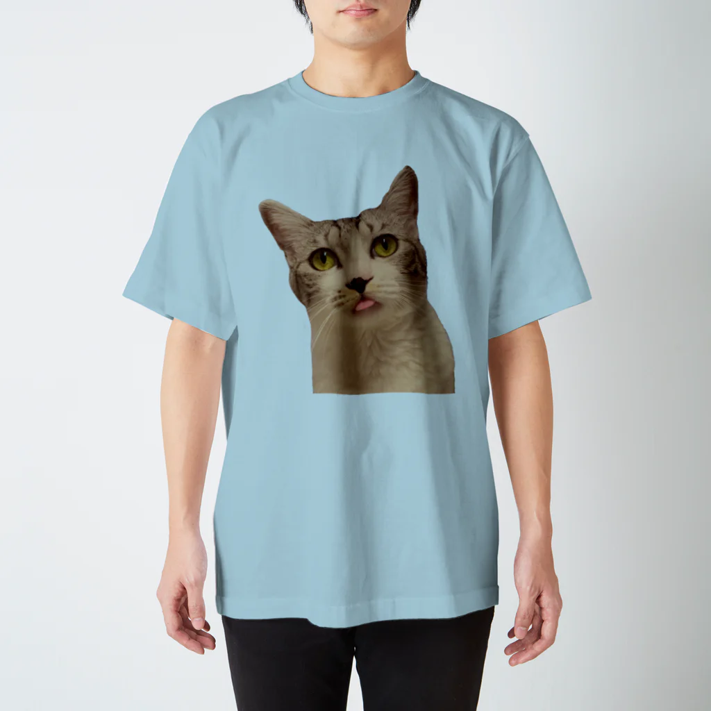 🍀葉っぱちゃんねる🍀のんべ、な保護猫ルッコラ Regular Fit T-Shirt