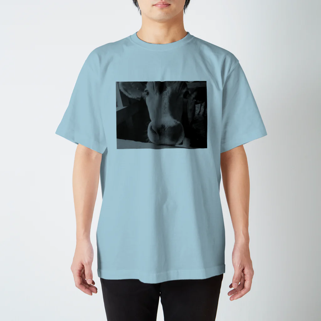 spinのlimited　cow Collection Regular Fit T-Shirt