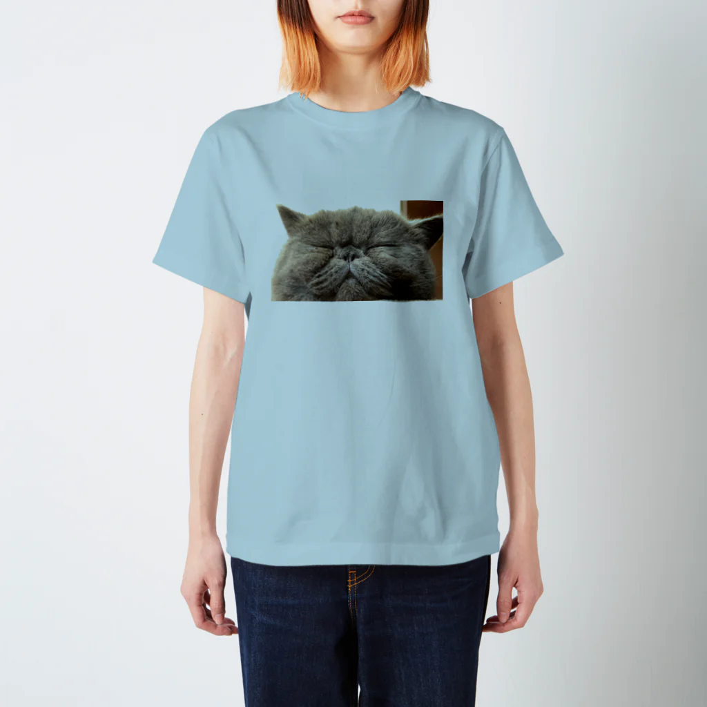 猫のRamuneストア(*ΦωΦ*)のramune スタンダードTシャツ