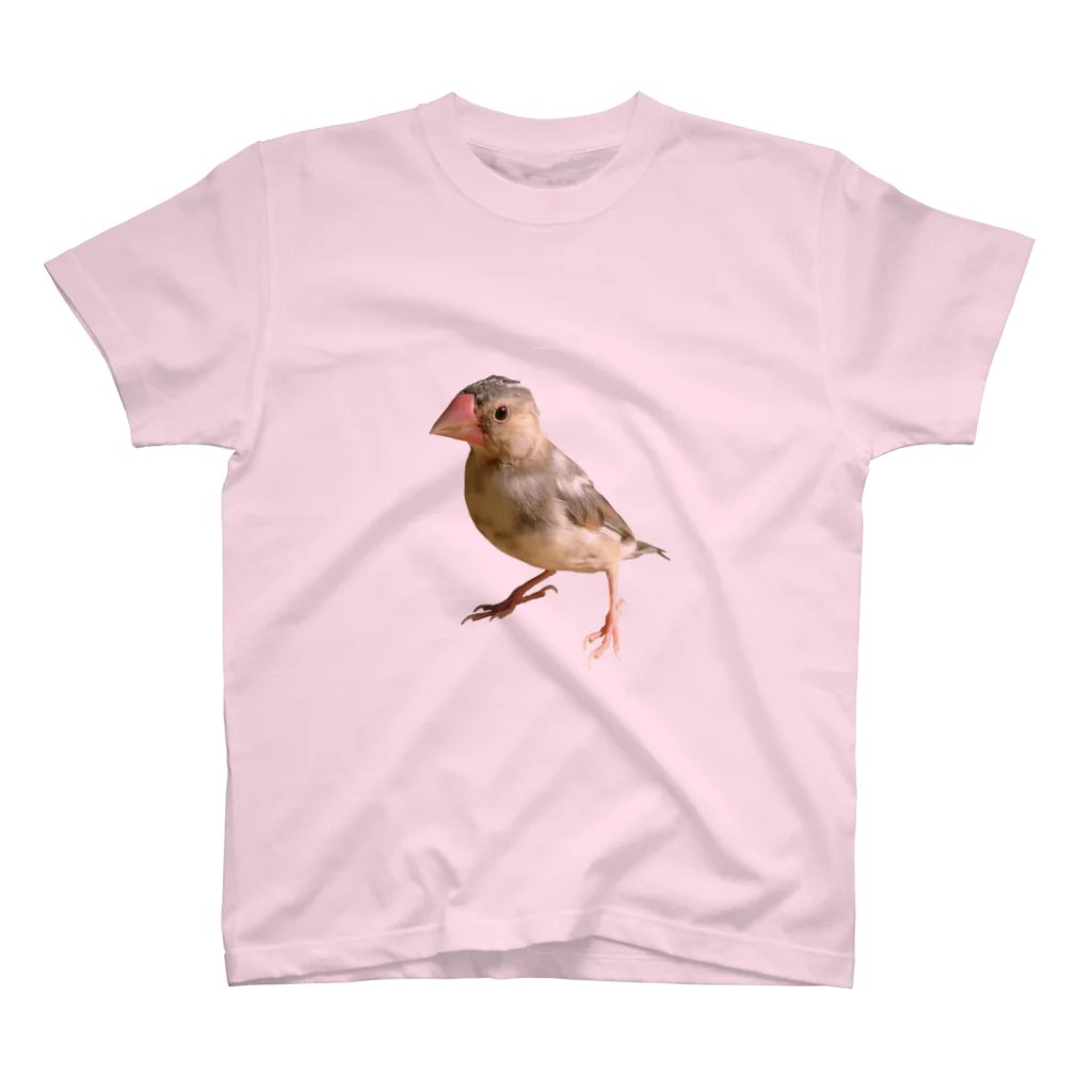 HINELの文鳥の雛 スタンダードTシャツ