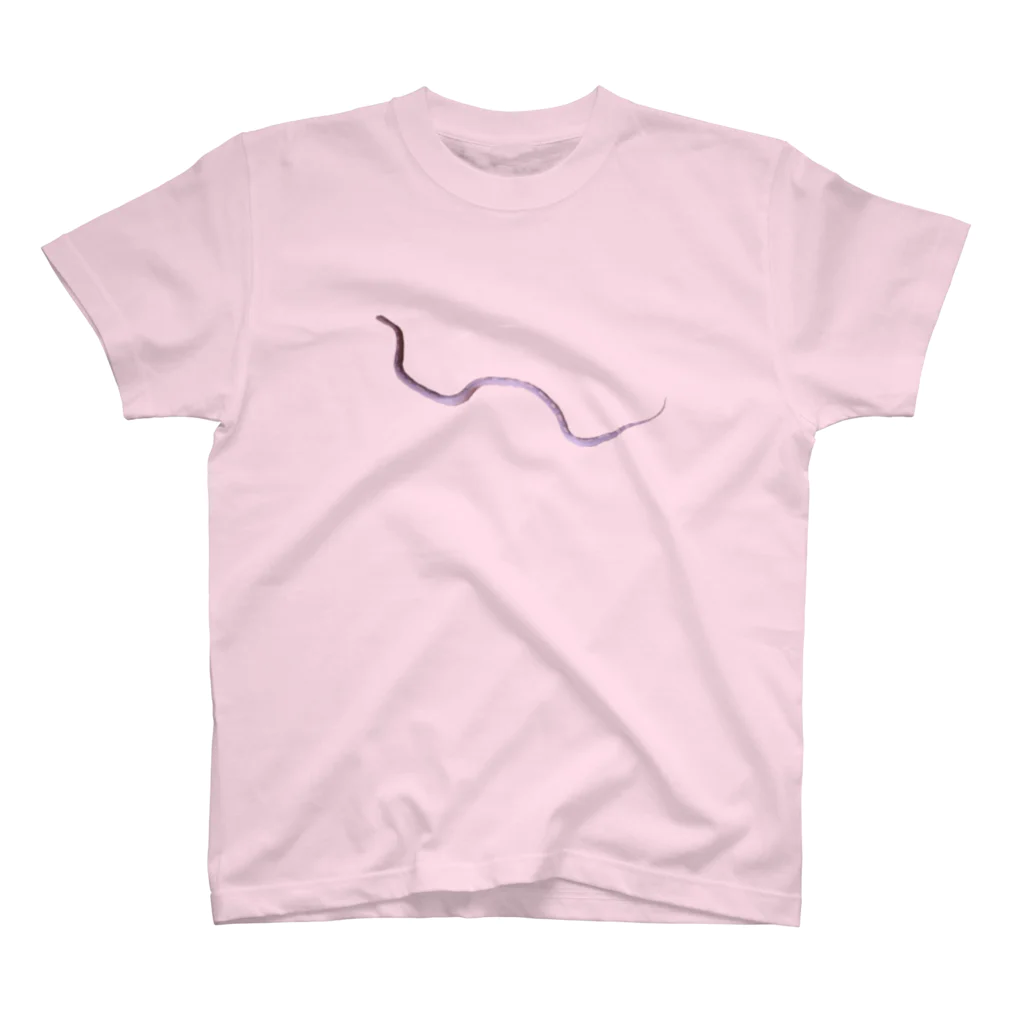 DecoLacertaのsimple snake スタンダードTシャツ