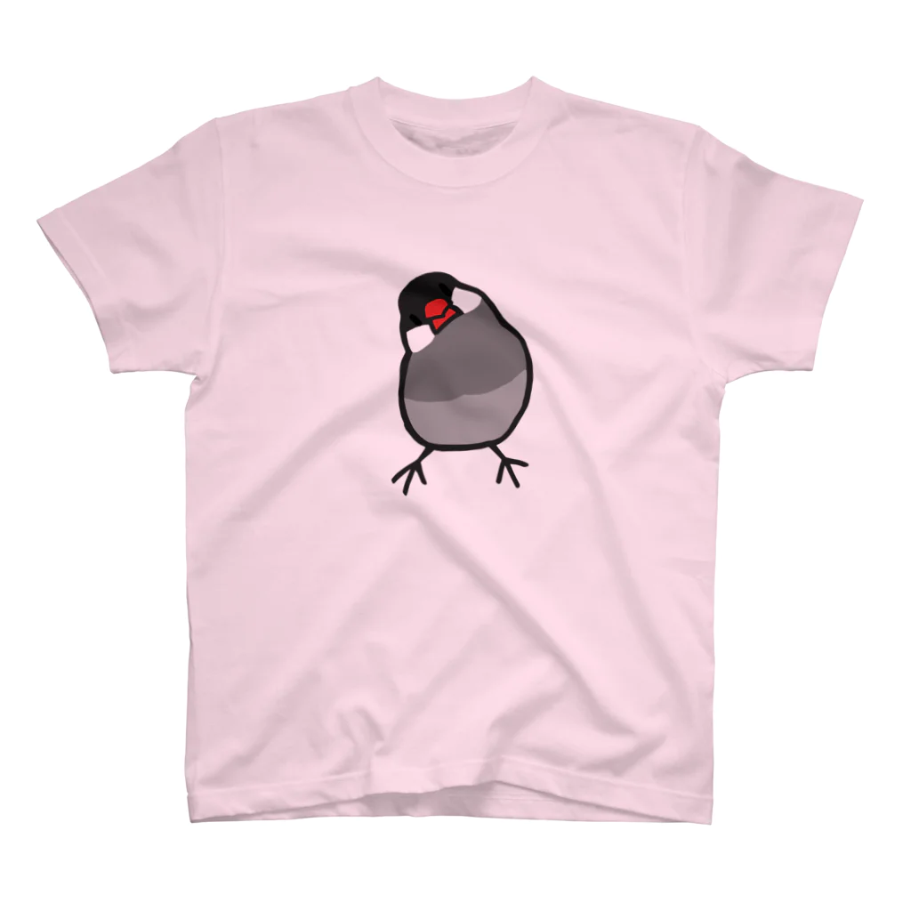 243のかしげる文鳥　桜文鳥 スタンダードTシャツ