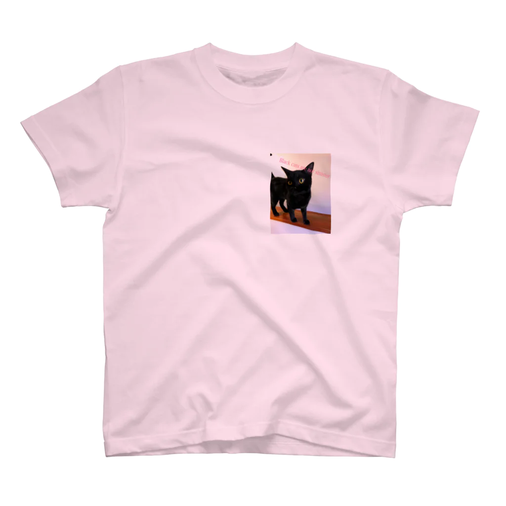 leoleoleの黒猫は不吉じゃない スタンダードTシャツ