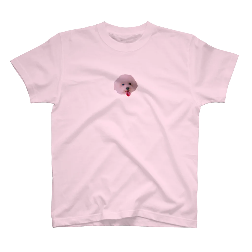 小エビのるー* ॑꒳ ॑* の遊んで欲しいぷーしゅけ(実写) Regular Fit T-Shirt