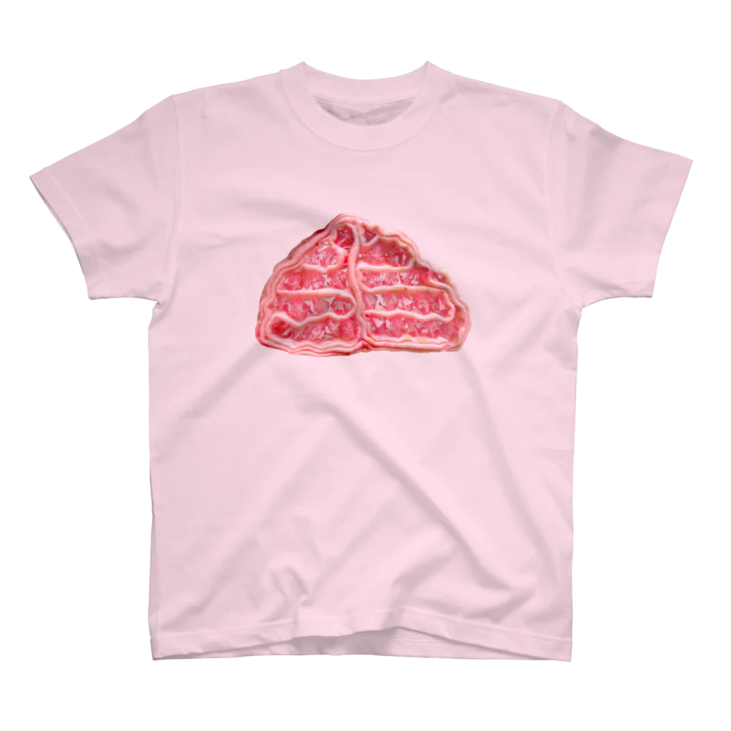 伊藤櫻子のbrain スタンダードTシャツ