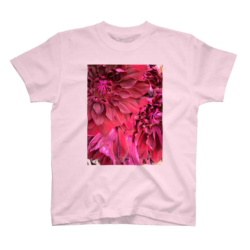 BalancewheelのBlooming スタンダードTシャツ