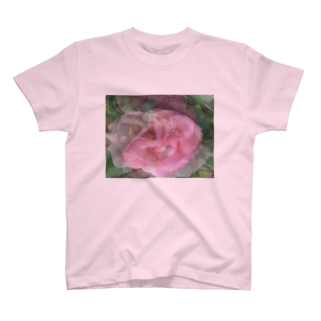 PINKMANの薔薇 スタンダードTシャツ