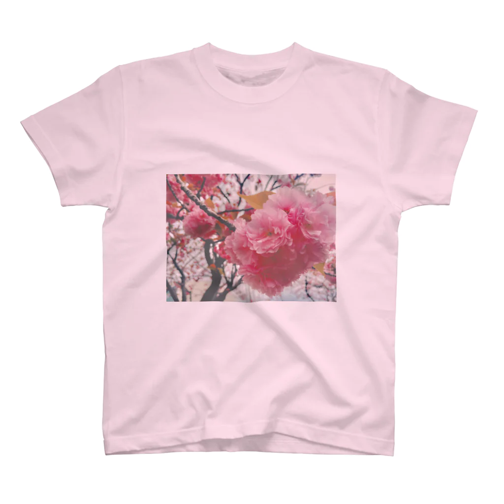 swimmyzのSAKURA Regular Fit T-Shirt