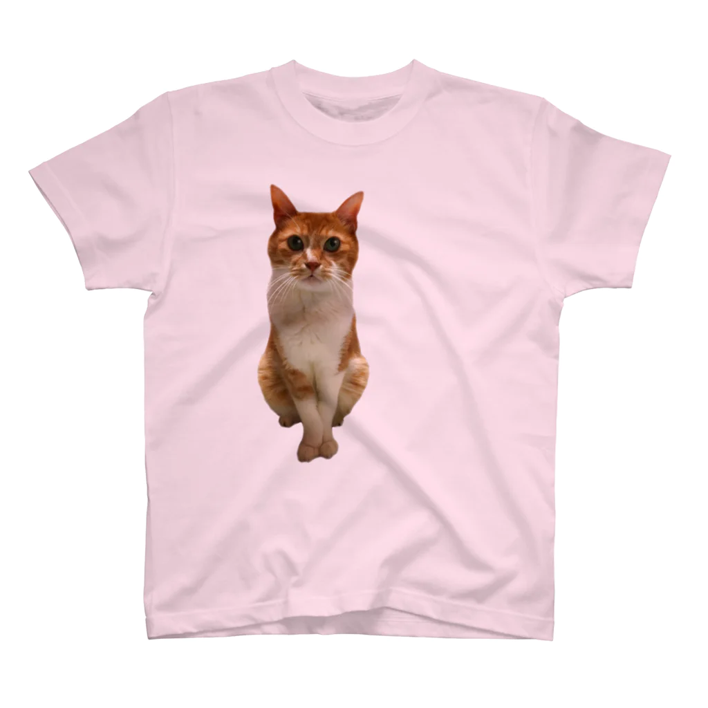 mazicaruayanyanのおじじ猫 Regular Fit T-Shirt