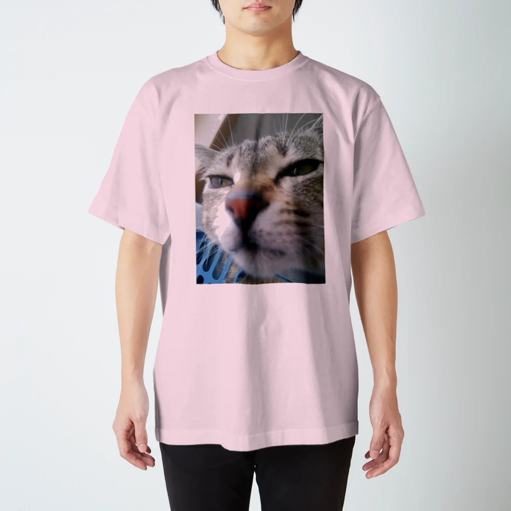 nyankodesuのニャンタですがなにか？ Regular Fit T-Shirt