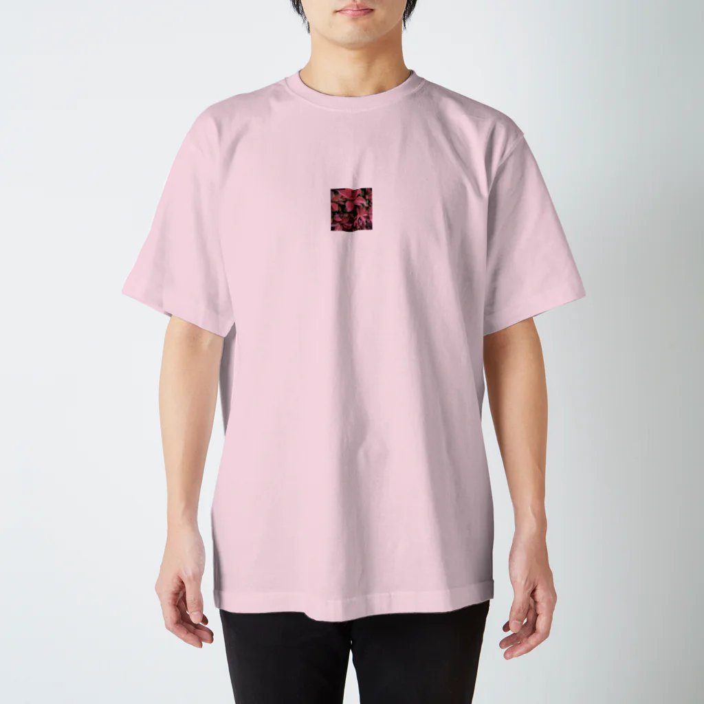 call-me-nowのred reef tee スタンダードTシャツ