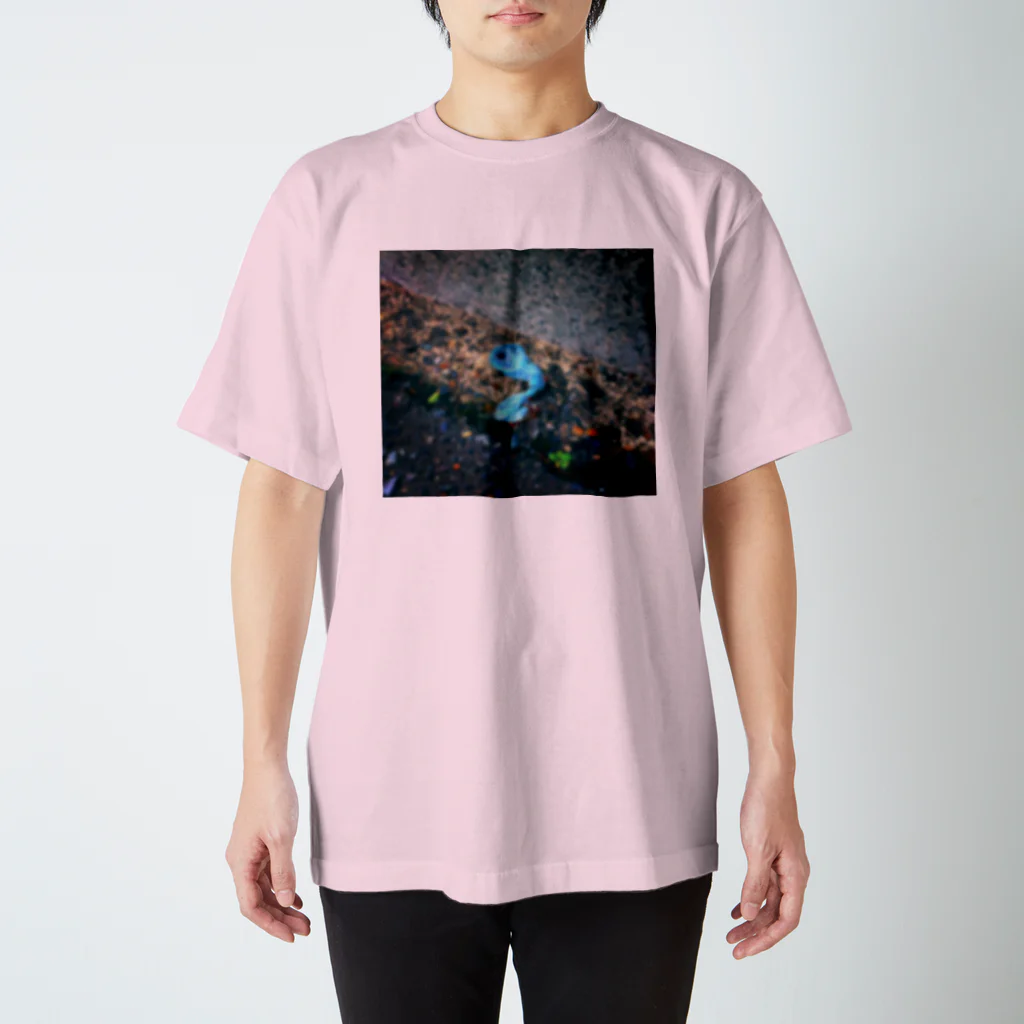 蟹江西公園のFUTURE スタンダードTシャツ