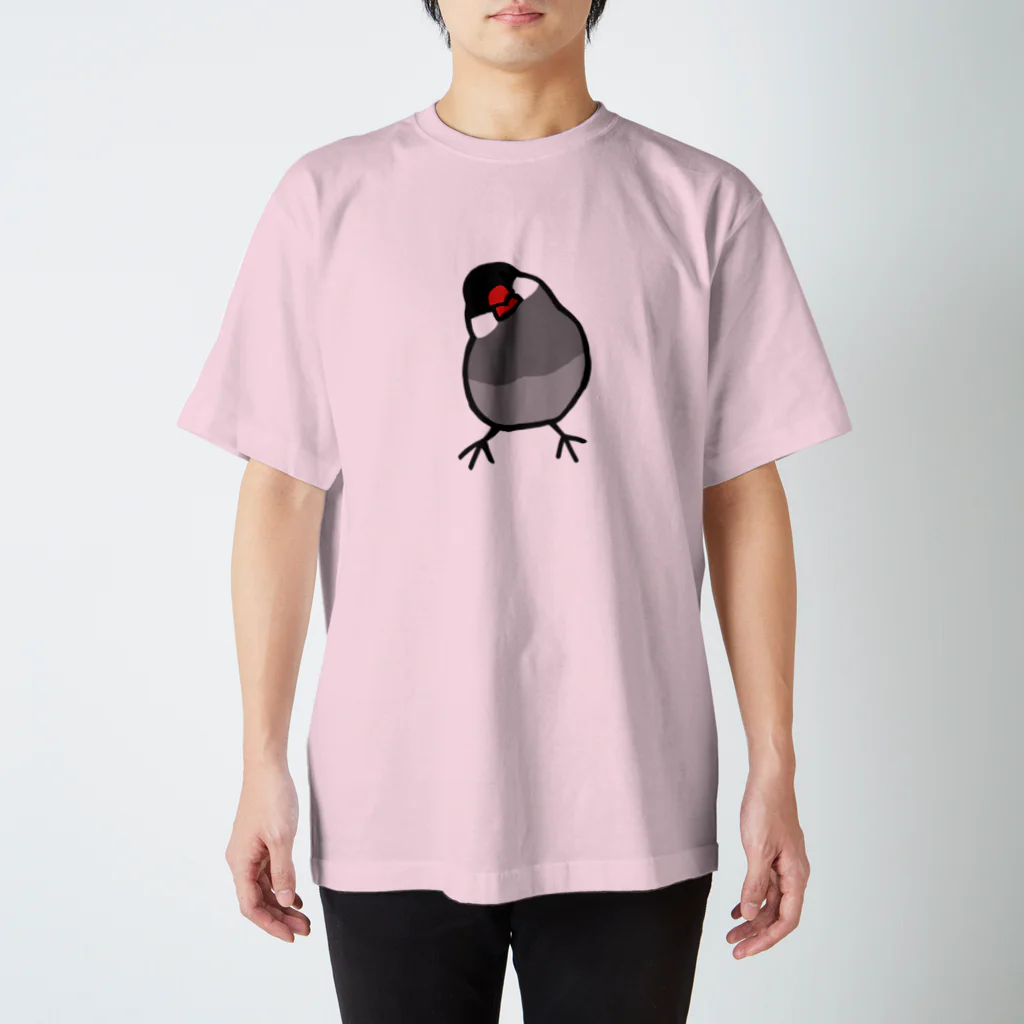 243のかしげる文鳥　桜文鳥 スタンダードTシャツ