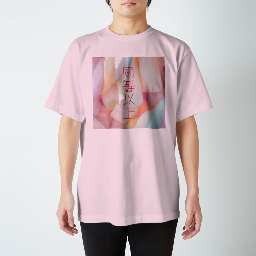 もの同等以上B Regular Fit T-Shirt