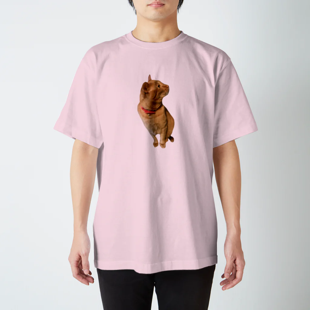 nekotayaのおすまし茶トラ スタンダードTシャツ