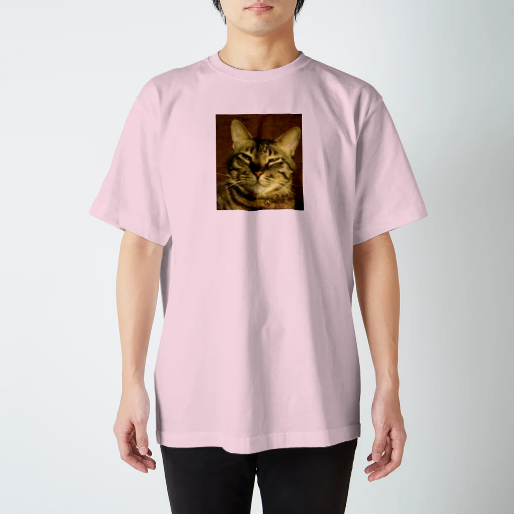 幸せを運ぶ福猫ピー助の幸せを運ぶトラ猫 スタンダードTシャツ