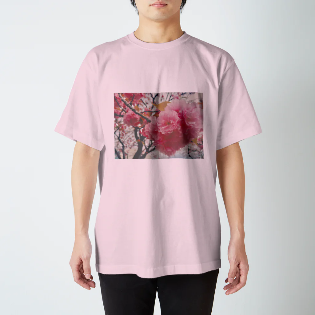 swimmyzのSAKURA Regular Fit T-Shirt