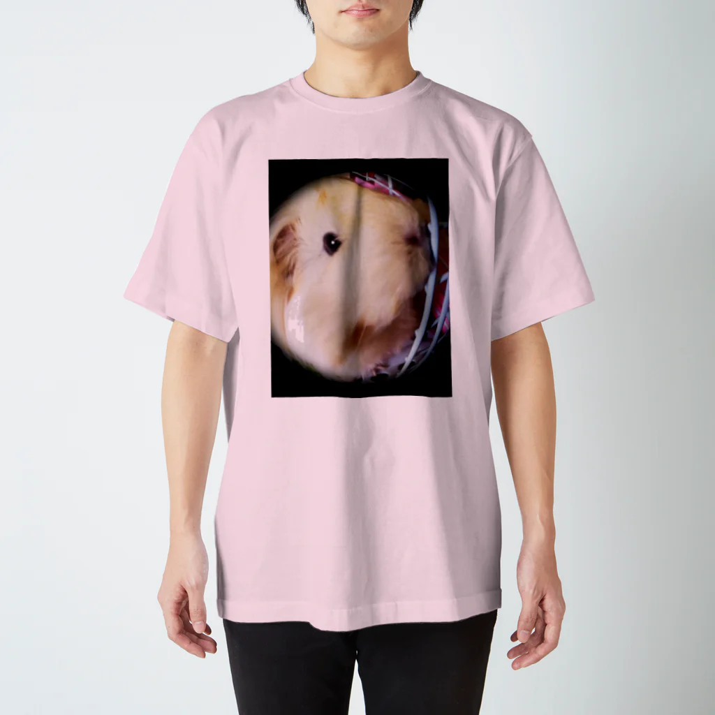 hulamomoのモモ Regular Fit T-Shirt