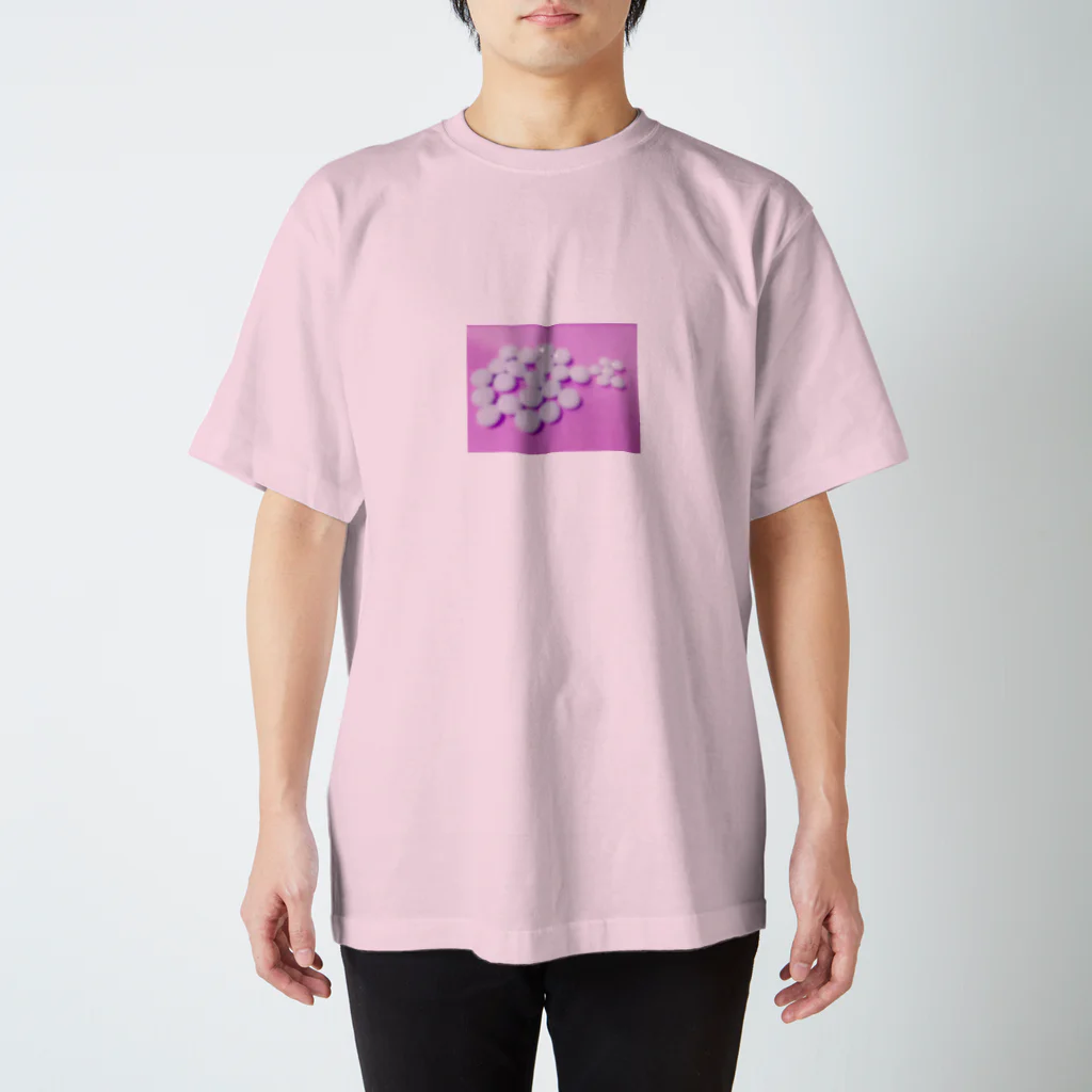 あいりちゃん屋さんのぽくしゅりきたぁ！ Regular Fit T-Shirt