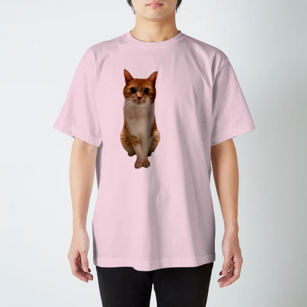 mazicaruayanyanのおじじ猫 Regular Fit T-Shirt