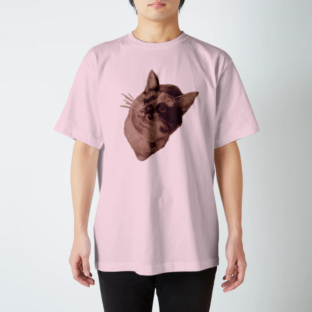 evaのねこ スタンダードTシャツ