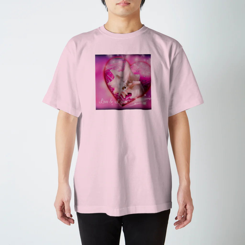 犬のしっぽの高次元ピンクシェール スタンダードTシャツ