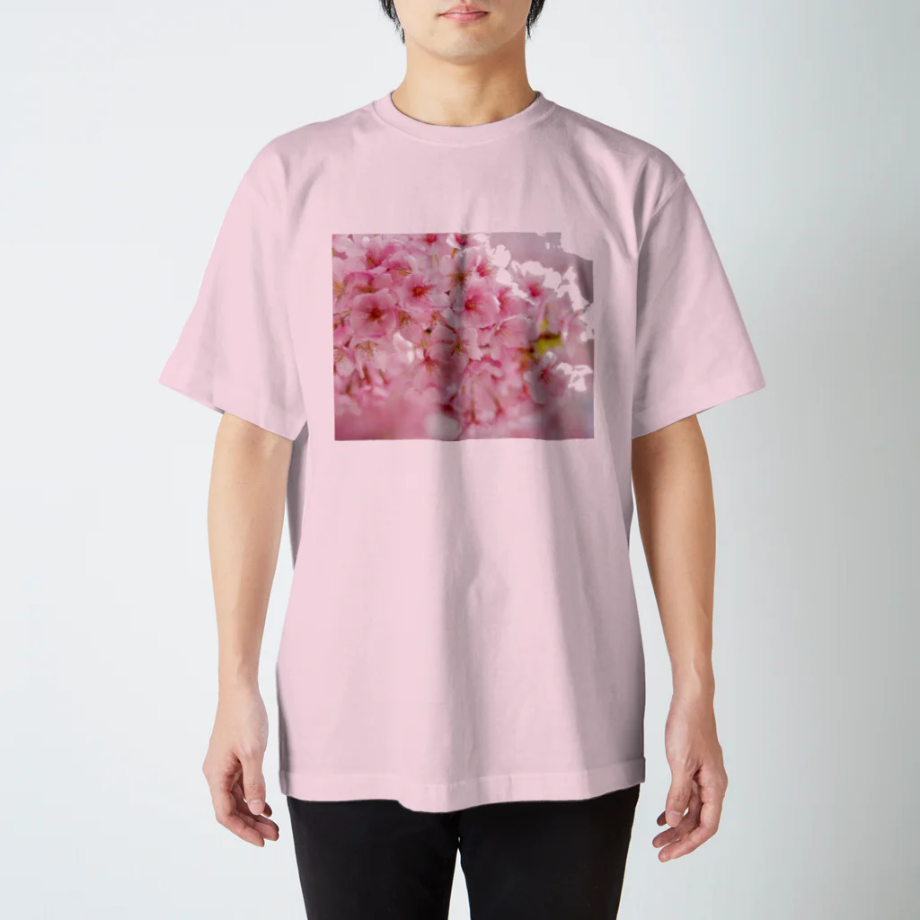 Broken Angelの桜の樹の下で スタンダードTシャツ