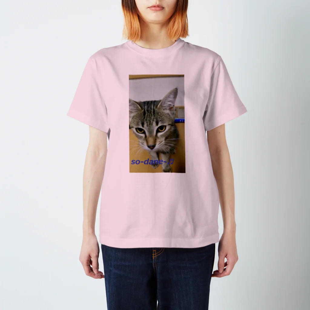 nyankodesuのニャンコのso-dane スタンダードTシャツ