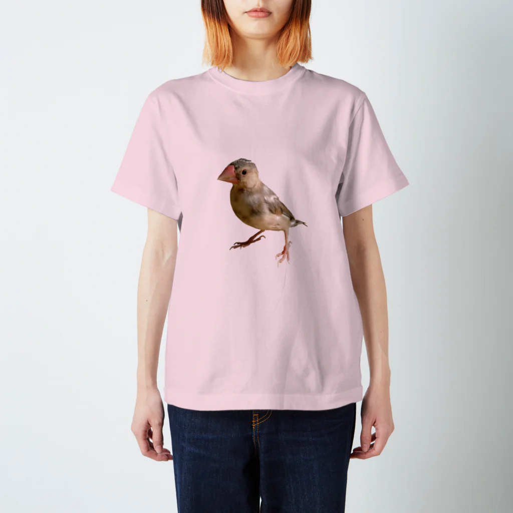 HINELの文鳥の雛 スタンダードTシャツ