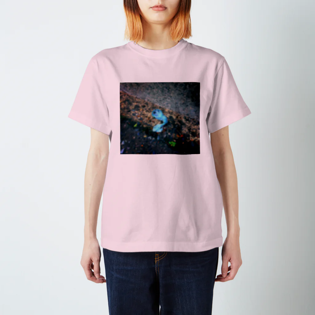 蟹江西公園のFUTURE スタンダードTシャツ