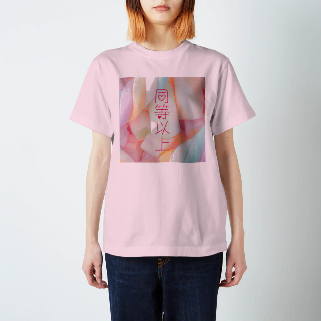 もの同等以上B Regular Fit T-Shirt