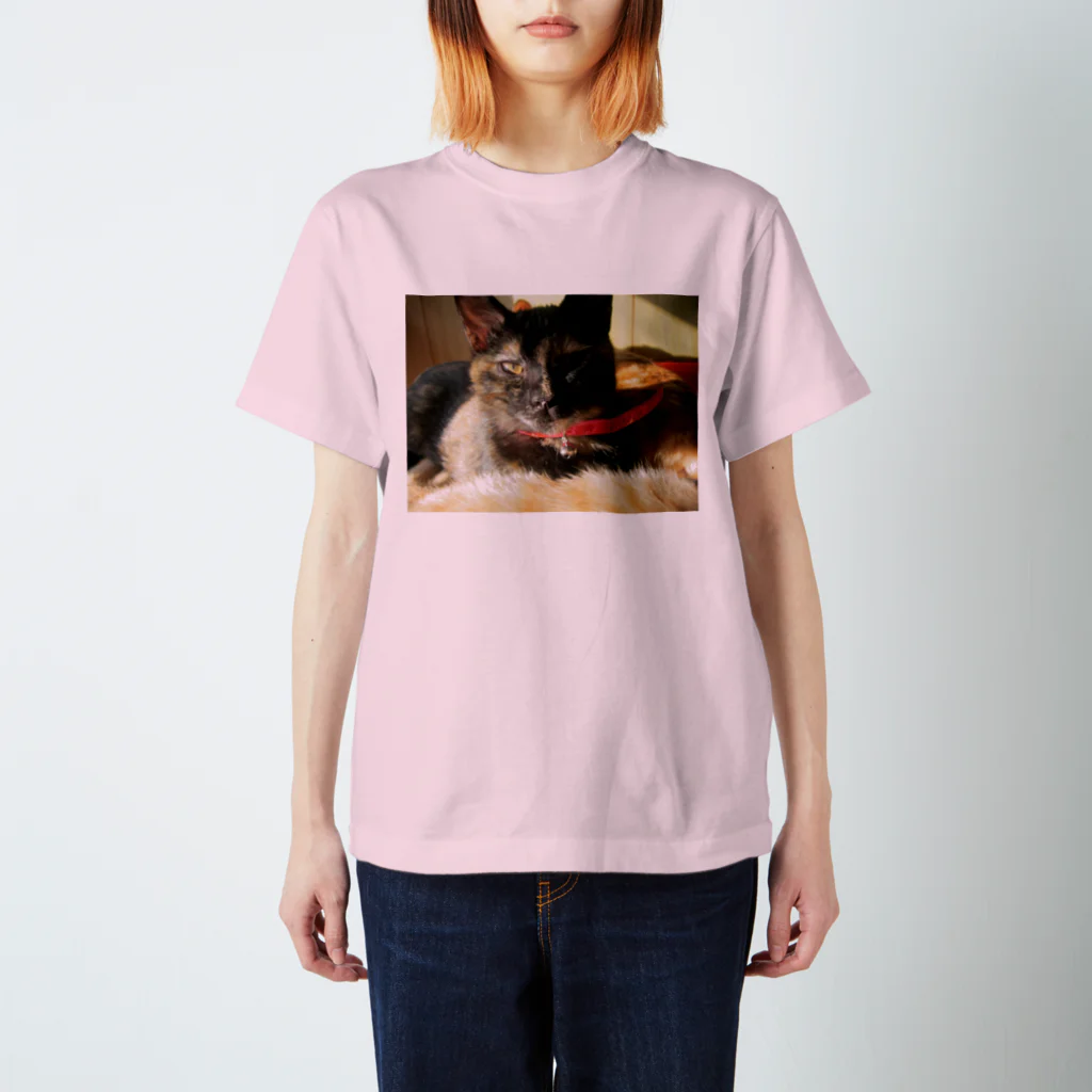 猫充商店の眠たい　じじ スタンダードTシャツ